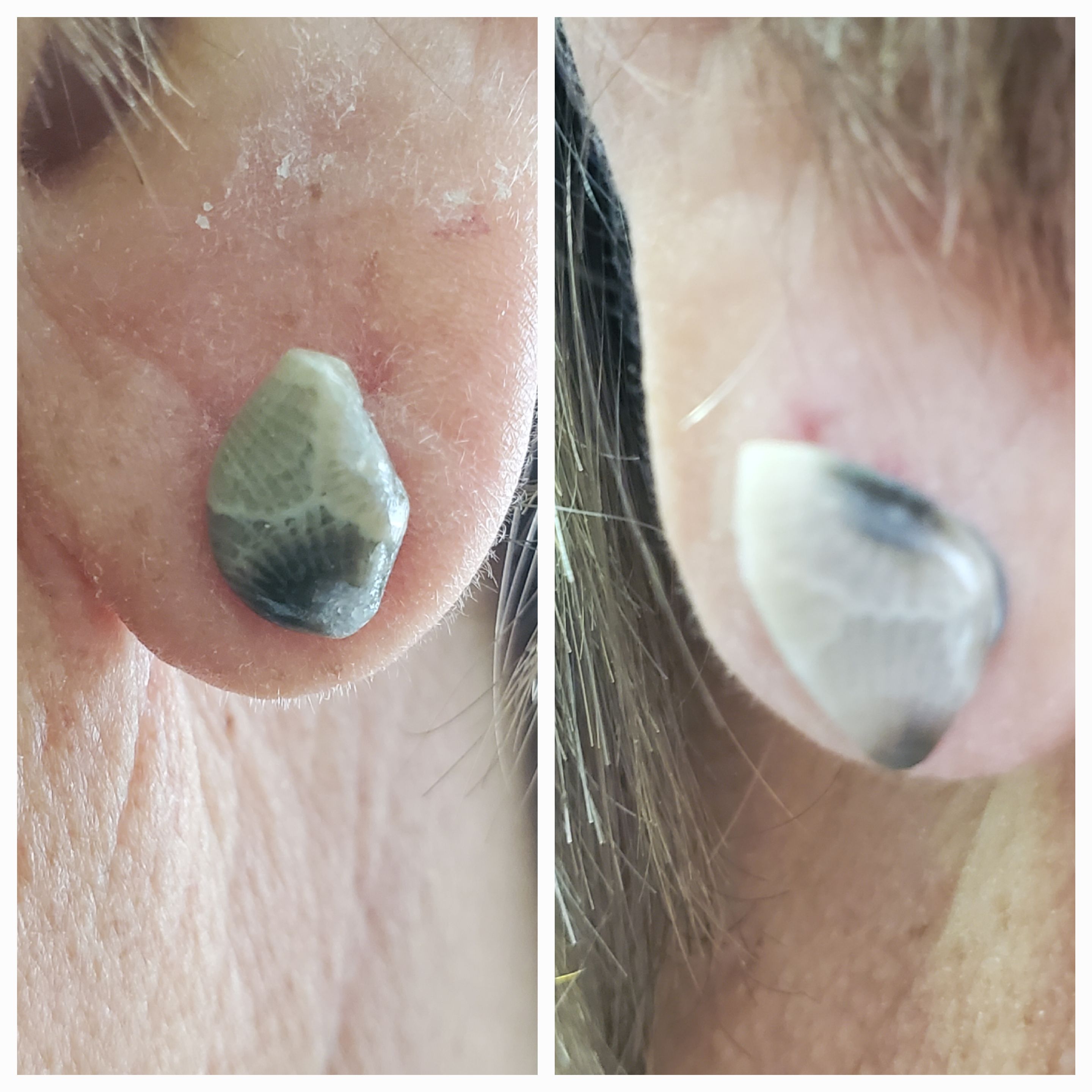 Petoskey stone stud earrings